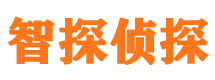 东山市侦探公司